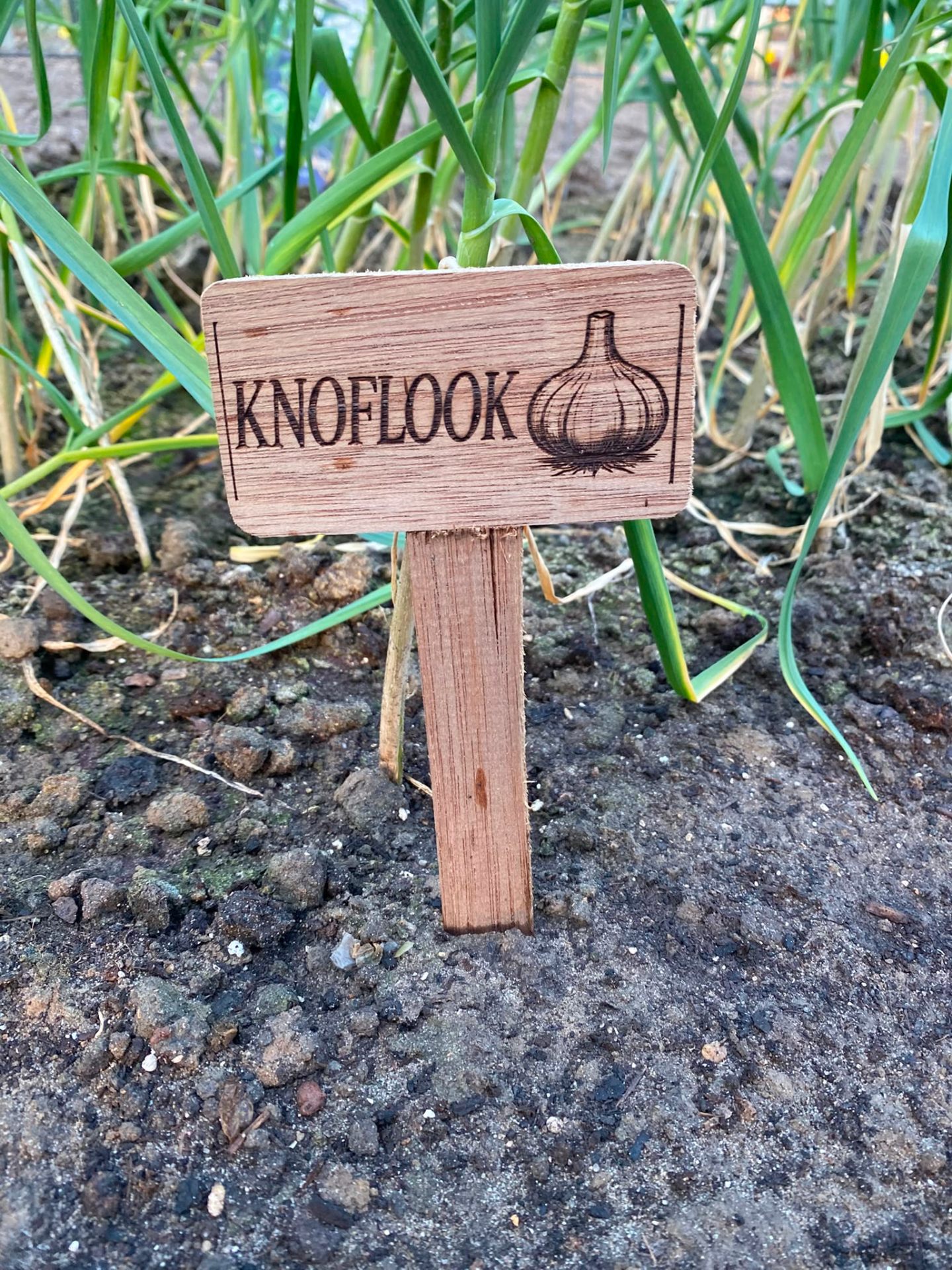 Handgemaakt bordje: Knoflook