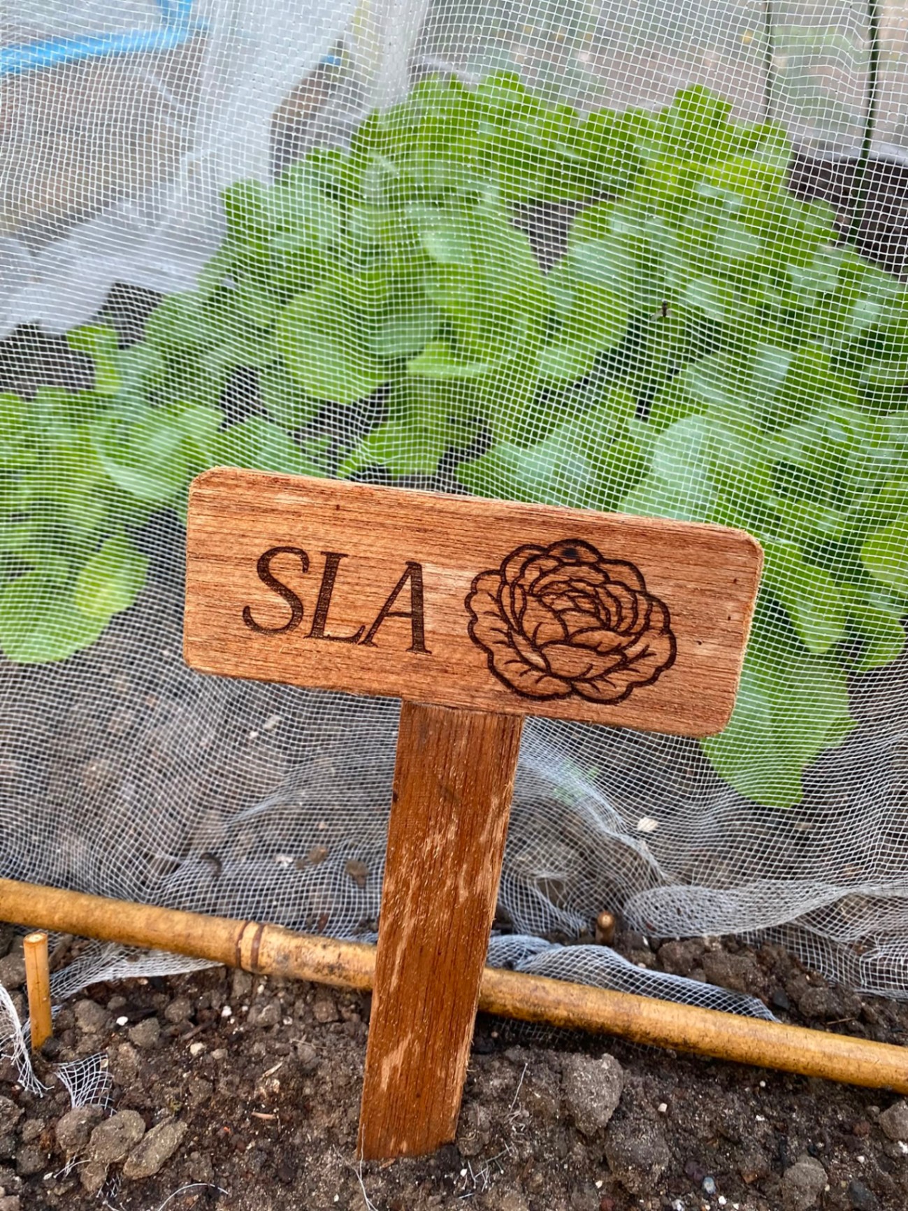 Handgemaakt bordje: Sla