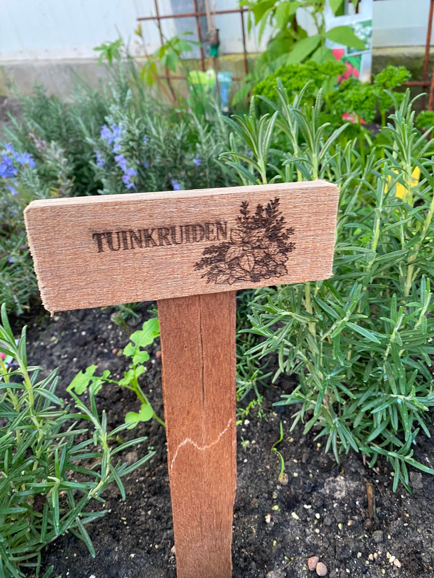 Handgemaakt bordje: Tuinkruiden
